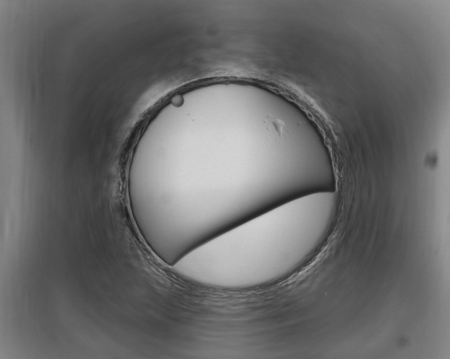 X0000095961215200801110938
