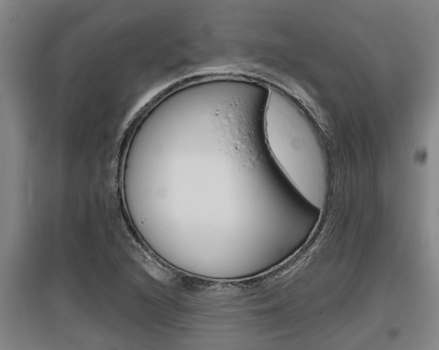 X0000095961216200801110938
