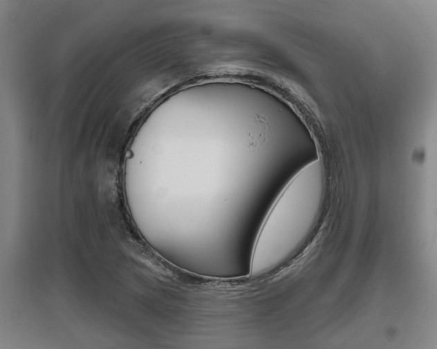 X0000095961217200801110938