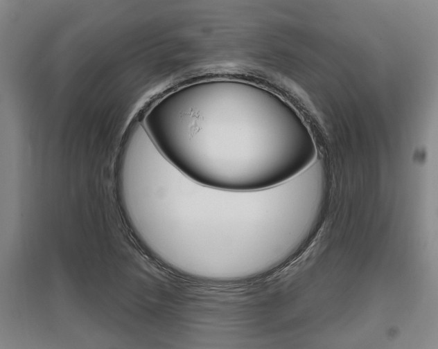 X0000095961218200801110938