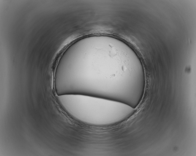 X0000095961219200801110938