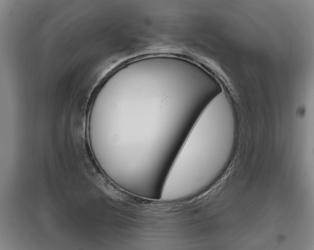 X0000095961220200801110938