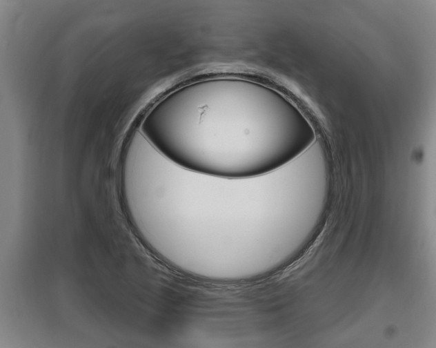 X0000095961221200801110938