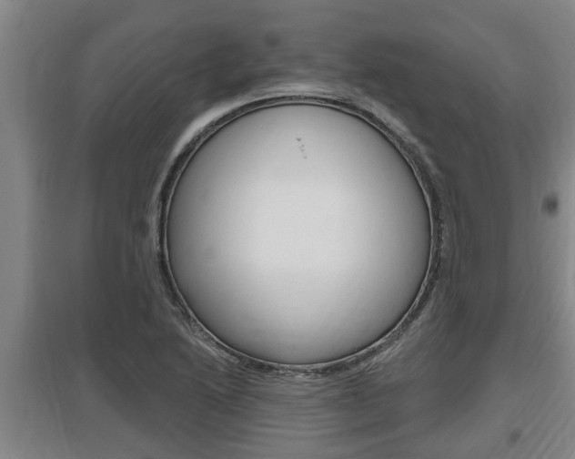 X0000095961222200801110938