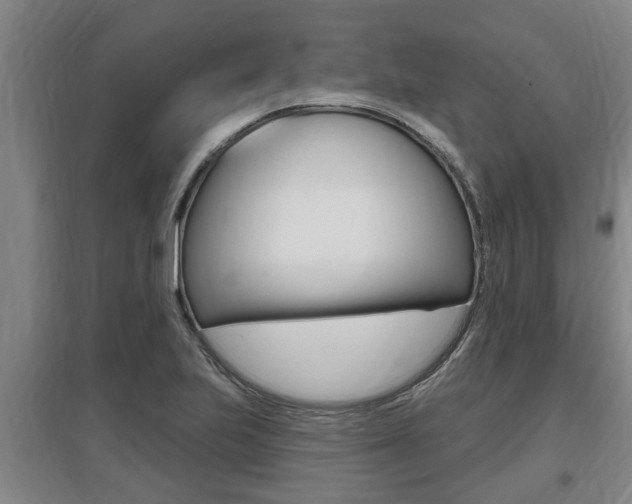 X0000095961223200801110938