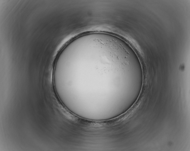 X0000095961224200801110938