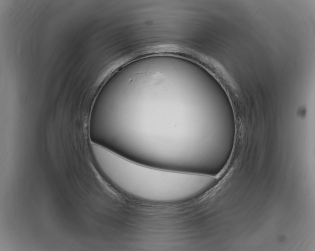 X0000095961225200801110938