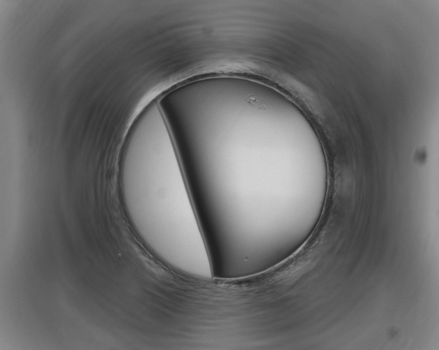 X0000095961226200801110938