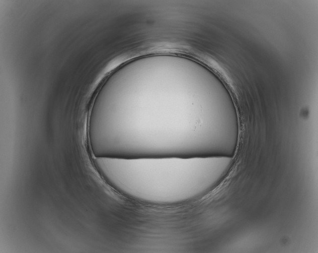 X0000095961227200801110938
