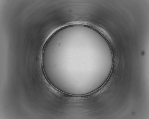 X0000095961228200801110938