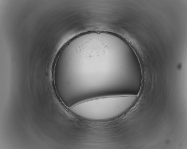 X0000095961230200801110938