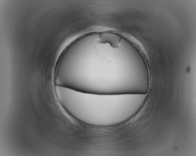 X0000095961231200801110938