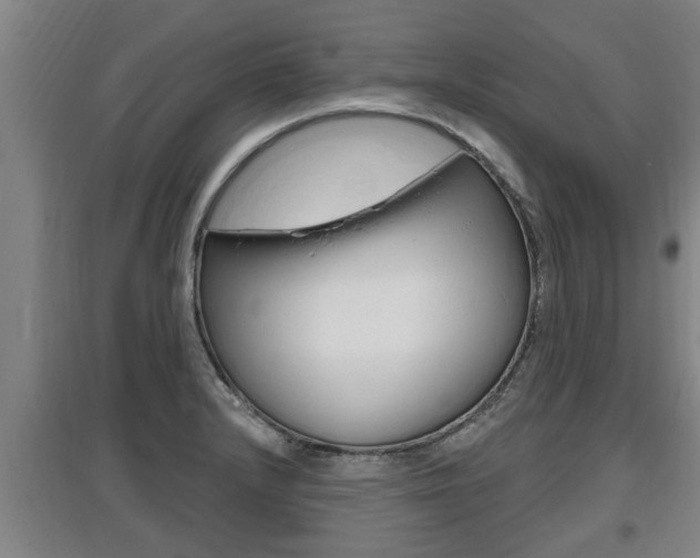 X0000095961232200801110938