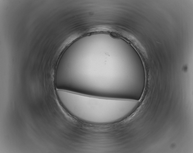 X0000095961233200801110938