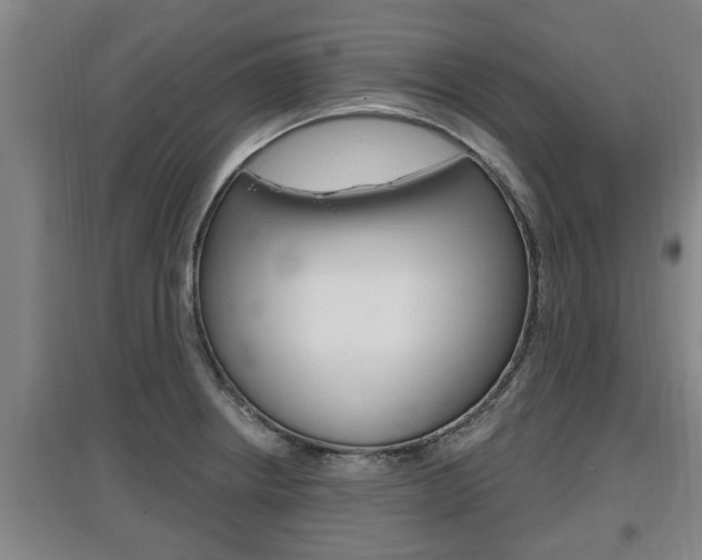X0000095961234200801110938