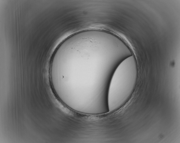 X0000095961235200801110938