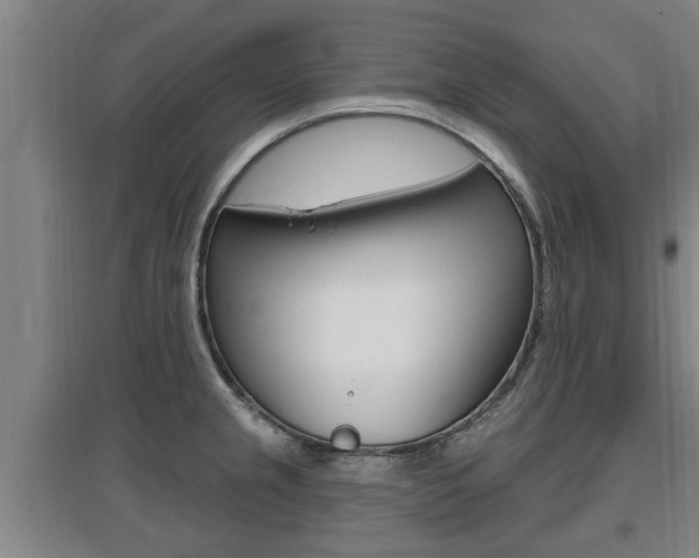 X0000095961237200801110938