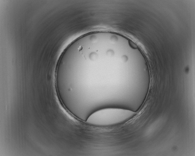 X0000095961239200801110938