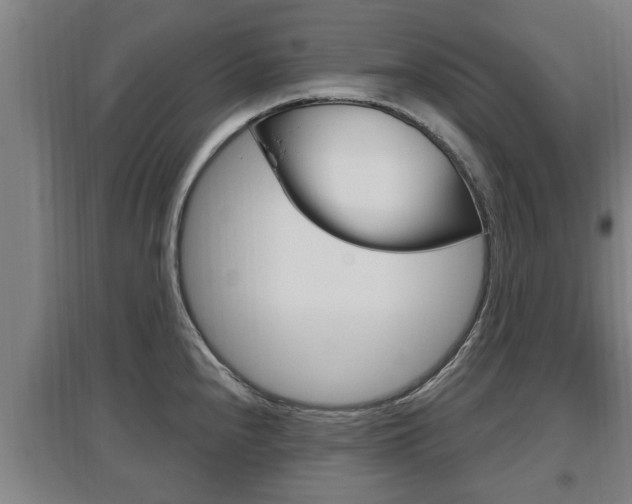 X0000095961240200801110938