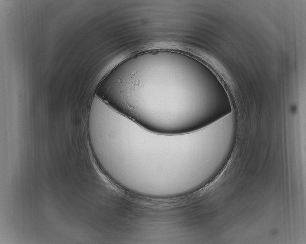 X0000095961241200801110938