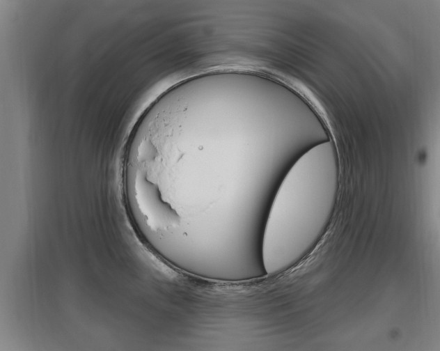 X0000095961243200801110938
