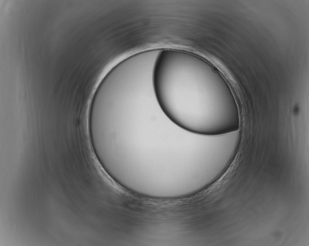 X0000095961246200801110938