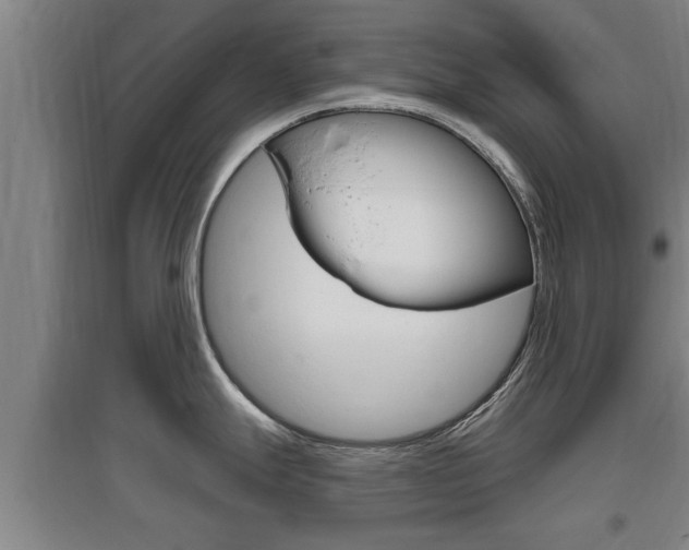 X0000095961247200801110938