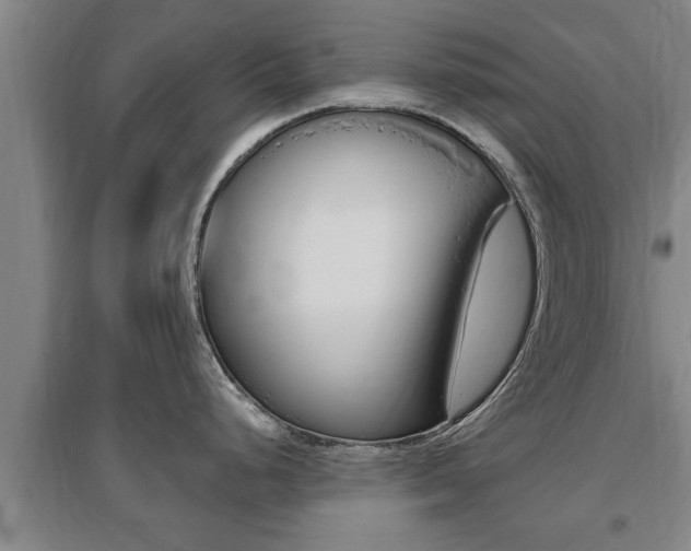 X0000095961248200801110938