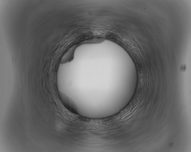 X0000095961249200801110938