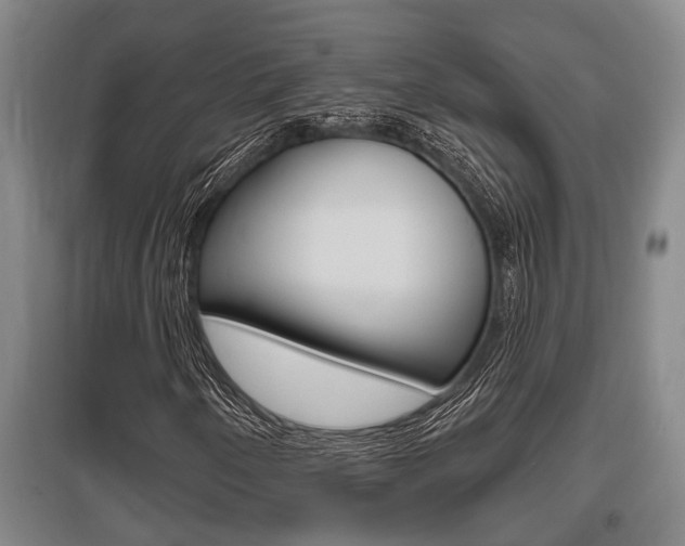 X0000095961250200801110938