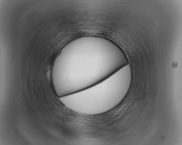 X0000095961251200801110938