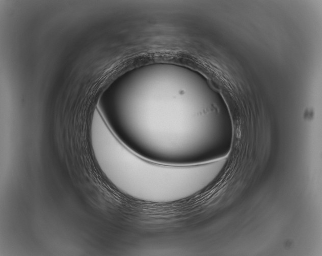 X0000095961252200801110938