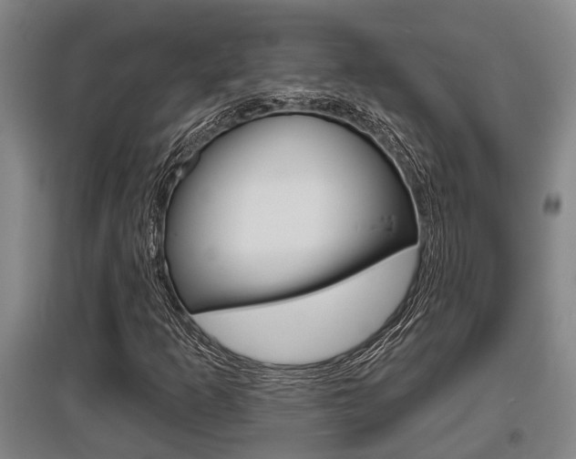 X0000095961253200801110938