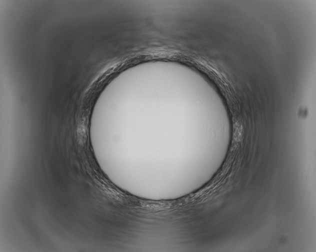 X0000095961254200801110938