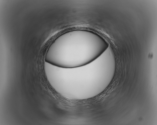 X0000095961255200801110938