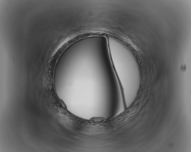 X0000095961256200801110938