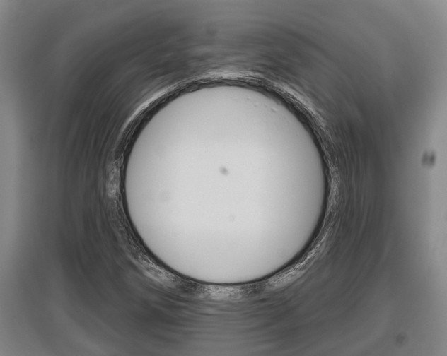X0000095961258200801110938