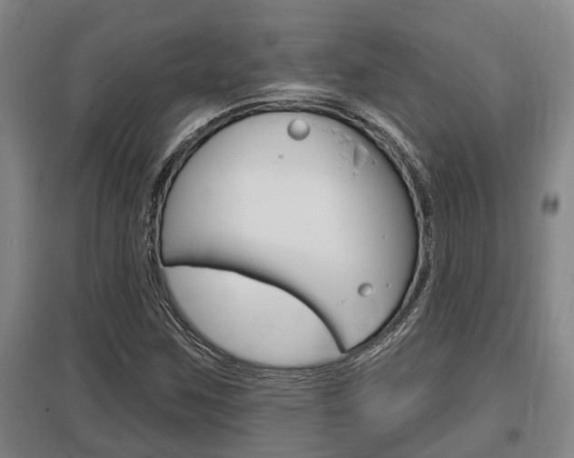X0000095961259200801110938