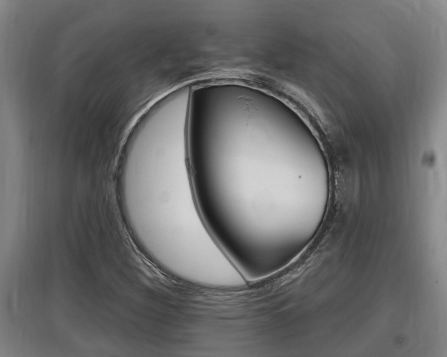 X0000095961260200801110938