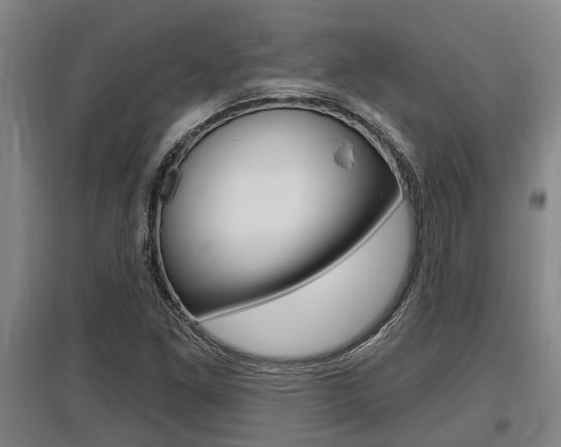 X0000095961261200801110938