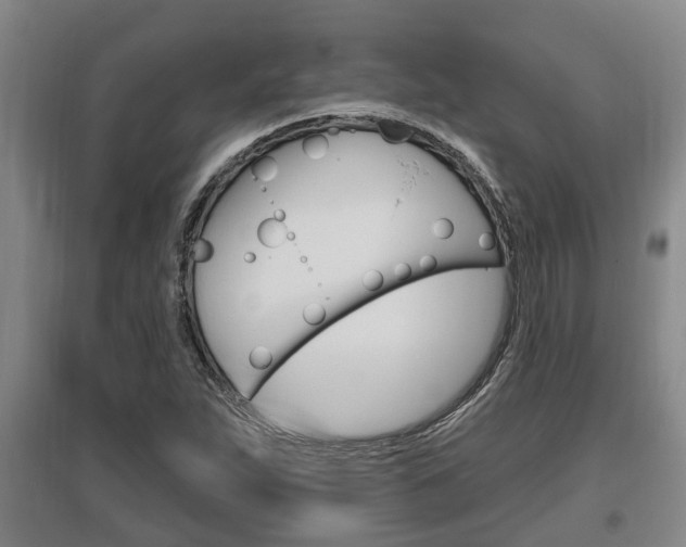 X0000095961263200801110938