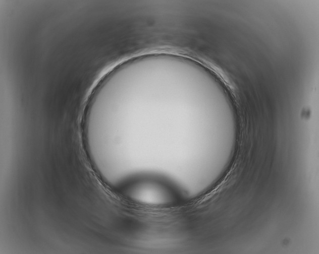 X0000095961264200801110938