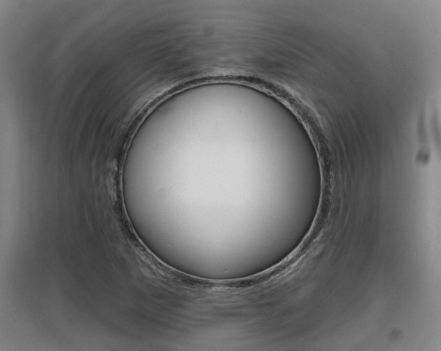 X0000095961265200801110938
