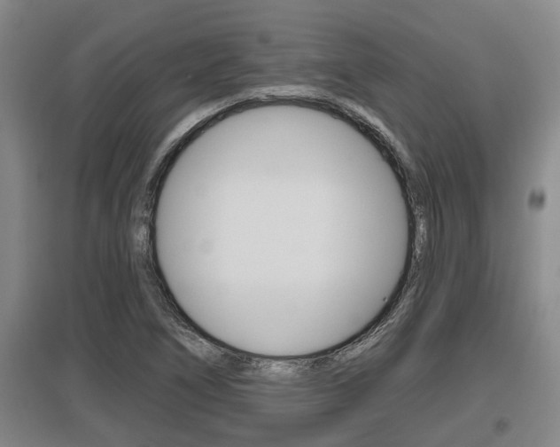 X0000095961266200801110938