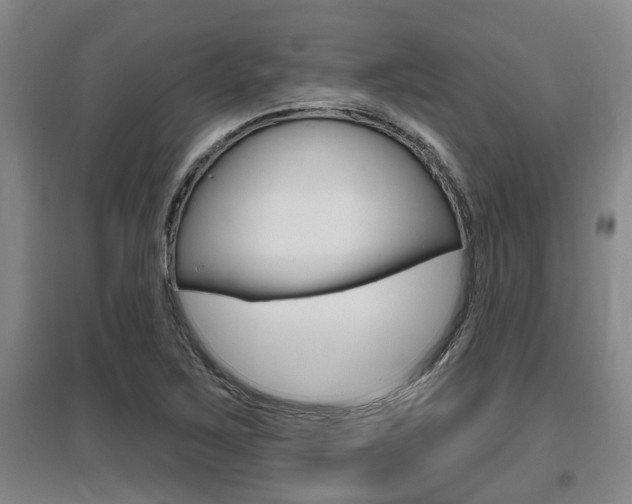 X0000095961267200801110938