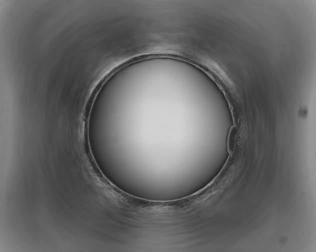X0000095961268200801110937