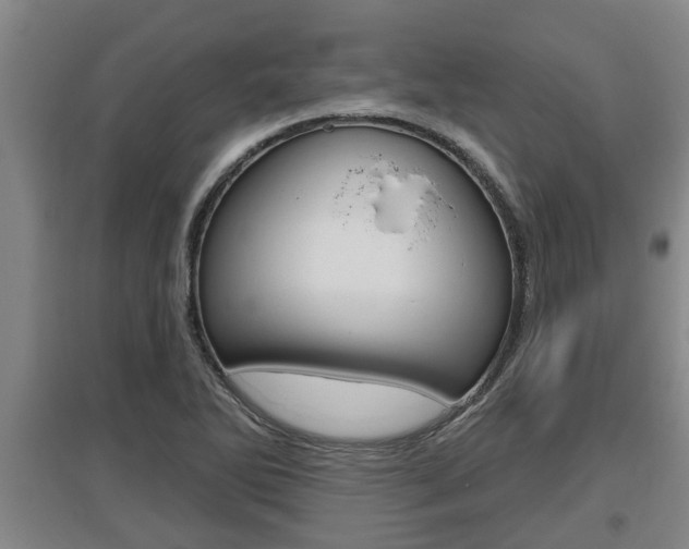 X0000095961270200801110937