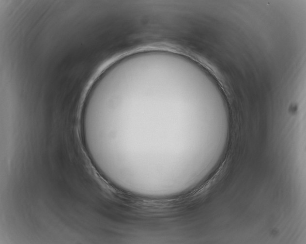 X0000095961272200801110937