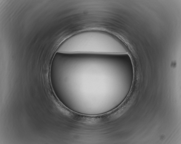 X0000095961273200801110937