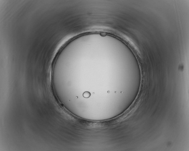 X0000095961275200801110937